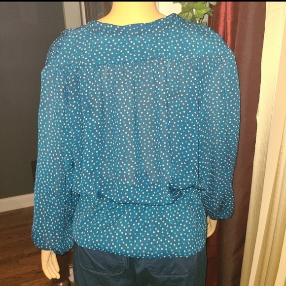 New York & Company Eva Mendes  Green White, and Tan Sheer Polkadot Blouse - Picture 2 of 15